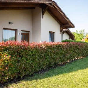  Mezőkövesd - Május 1. 