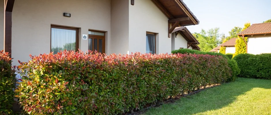 Pandora Zsry Apartmanok Mezkvesd