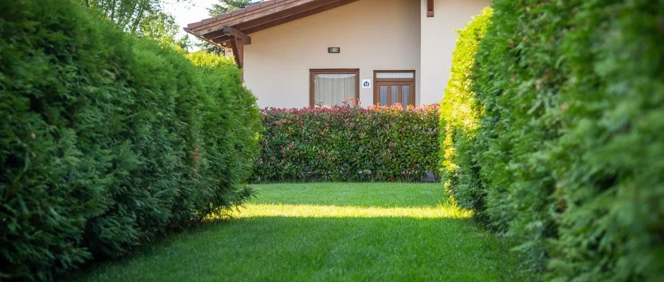 Pandora Zsry Apartmanok Mezkvesd