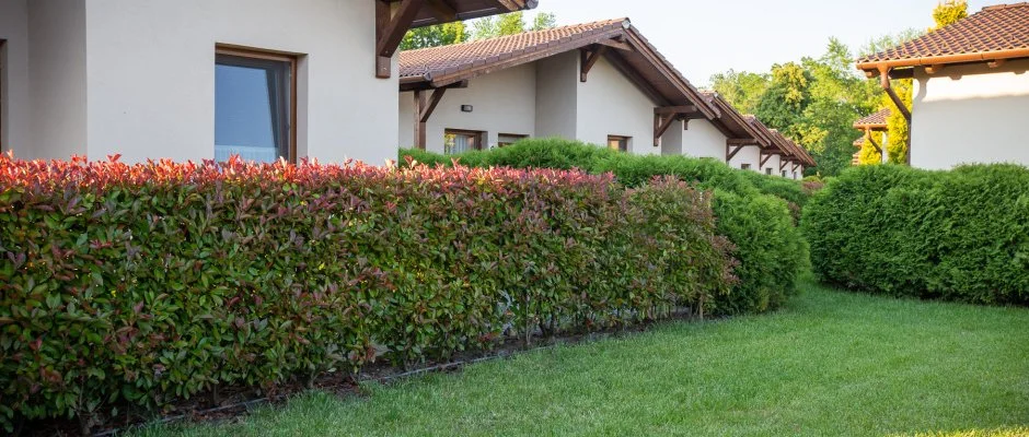 Pandora Zsry Apartmanok Mezkvesd