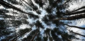 Panorma Hotel Noszvaj - Tli ajnlat 15% kedvezmnnyel