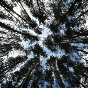  Noszvaj - Téli ajánlat 15% kedvezménnyel (1 éjtől)