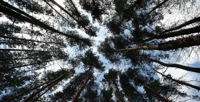  - Tli ajnlat 15% kedvezmnnyel