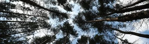 Panorma Hotel Noszvaj 