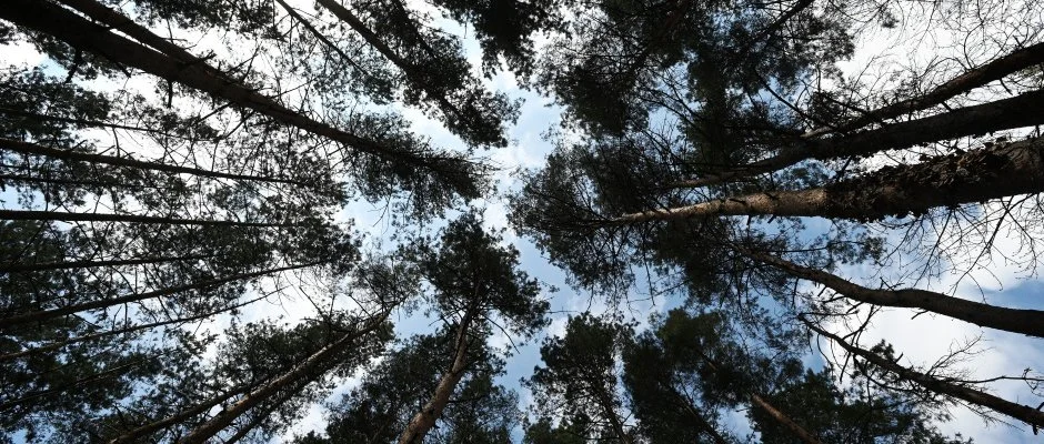 Panorma Hotel Noszvaj