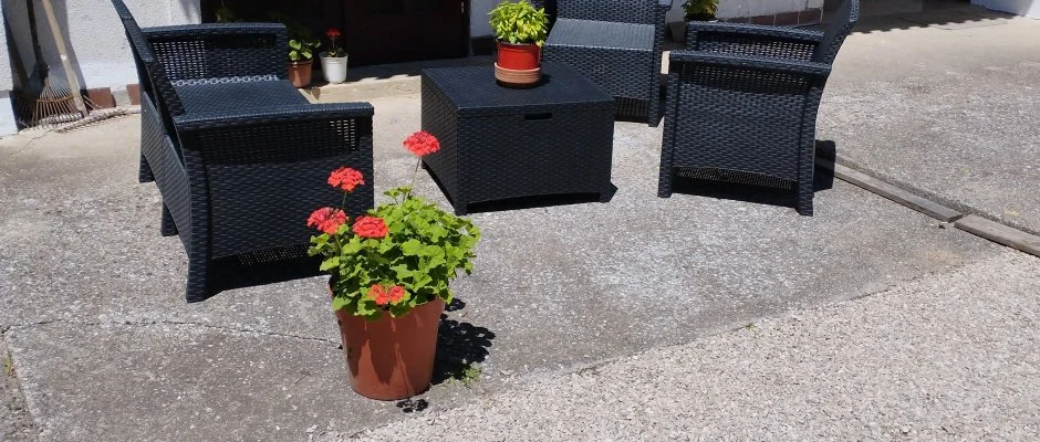 Paprika Vendghz Harkny