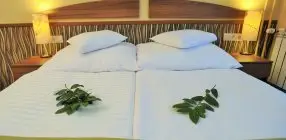 Park Hotel Gyula - Kar�csony
