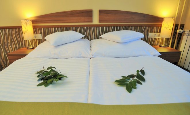 Park Hotel Gyula
