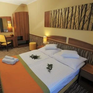 Park Hotel Gyula Gyula - Napi árak félpanziós ellátással (1 éjtől)