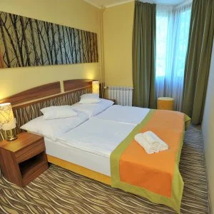 Park Hotel Gyula Gyula - Szilveszter (min. 3 éj) 