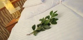 Park Hotel Gyula - H�tv�gi �lom