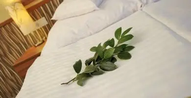 Hétvégi álom (min. 2 éj)