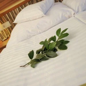 Park Hotel Gyula Gyula - Hétvégi álom (min. 2 éj)