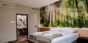 Park Hotel S�st� - Napi �rak- teljes el�refizet�ssel