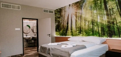 Park Hotel Sst Nyregyhza - Wellness csomagok 3 jszakra
