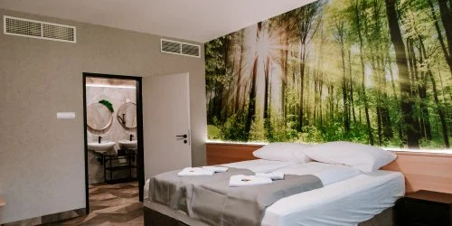 Park Hotel S�st� Ny�regyh�za