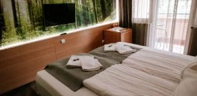 Park Hotel S�st� - H�sv�t - teljes el�refizet�ssel