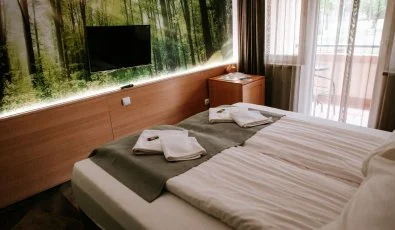 Park Hotel Sst Nyregyhza