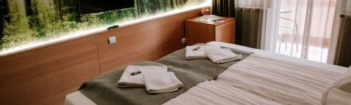 Park Hotel Sóstó