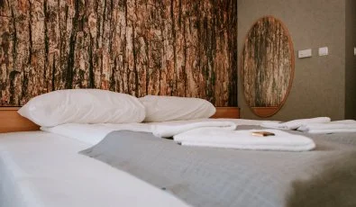 Park Hotel Sst Nyregyhza