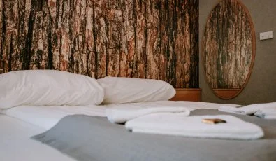 Park Hotel Sst Nyregyhza