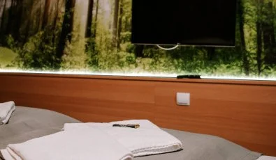 Park Hotel Sst Nyregyhza