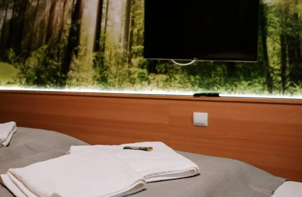 Park Hotel Sst Nyregyhza