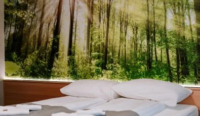 Park Hotel Sst Nyregyhza