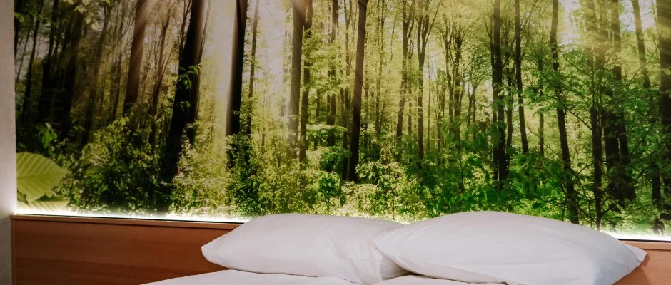 Park Hotel Sst Nyregyhza