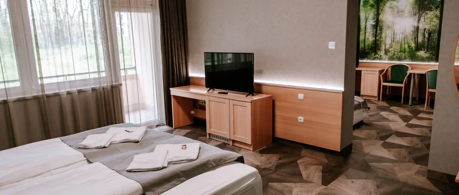 Park Hotel Sst Nyregyhza