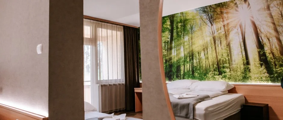 Park Hotel Sst Nyregyhza