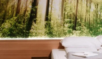 Park Hotel Sst Nyregyhza