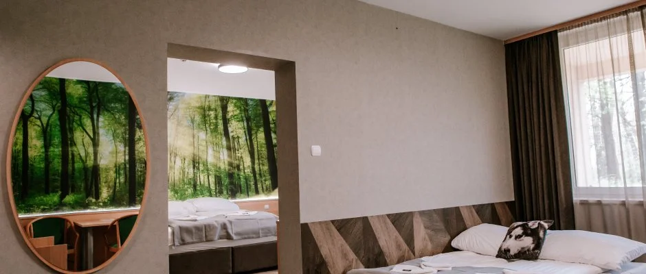 Park Hotel Sst Nyregyhza