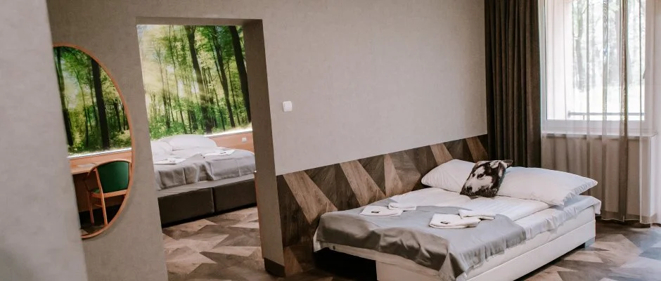 Park Hotel Sst Nyregyhza