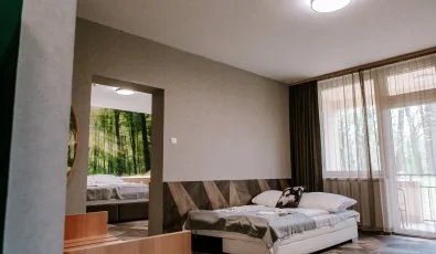 Park Hotel Sst Nyregyhza