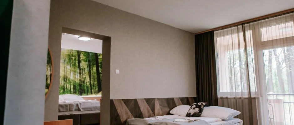 Park Hotel Sst Nyregyhza