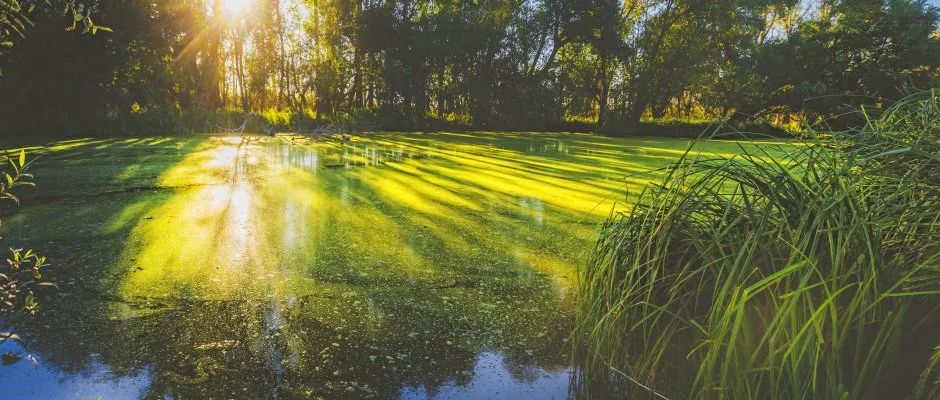 Park Inn by Radisson Zalakaros Resort & Spa