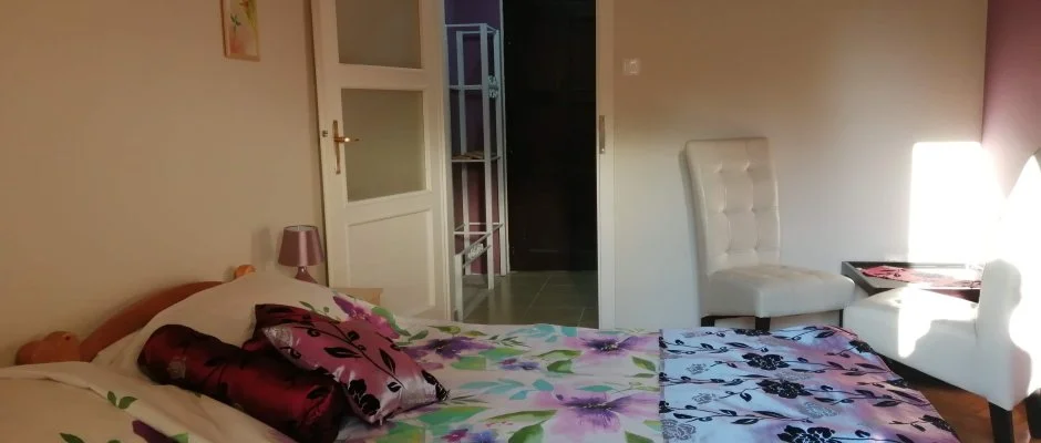 Parrag Panzi Mtraszentimre