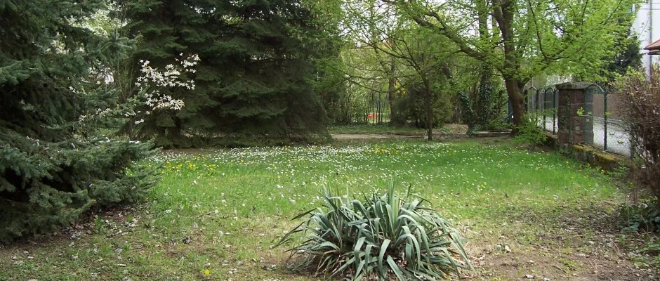 Parti Stny Vendghz Balatonkenese