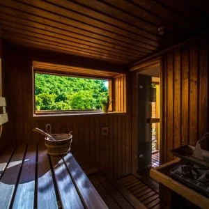 Patak Park Hotel Visegrád - Napi ár félpanzióval (1 éjtől)