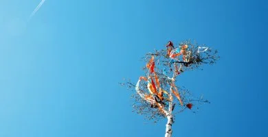 M�jus 1. (min. 2 �j)