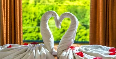  - Patak parti romantika