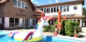 Pelso Panzi - Augusztus 20. - teljes elrefizetssel