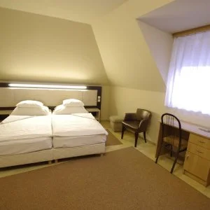 Hotel Vadászkürt Székesfehérvár - Szilveszter
