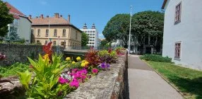 Pitypang Apartman - P�nk�sd