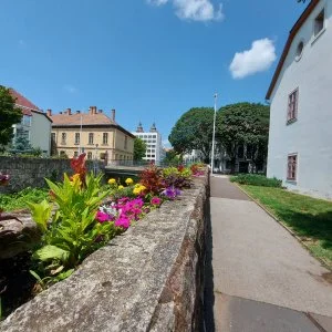 Pitypang Apartman Eger - Pünkösd (min. 2 éj)