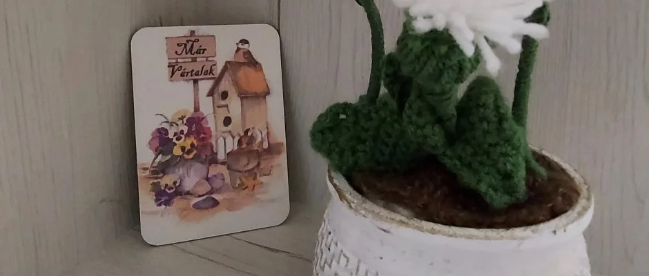 Pitypang Apartman Eger