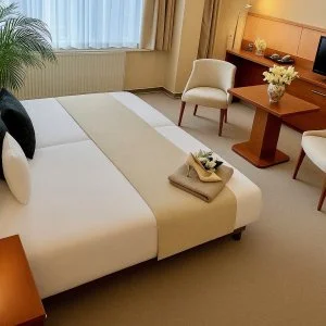 Pláza Hotel Gyula Gyula - Senior ajánlat reggelis ellátással (min. 2 éj)