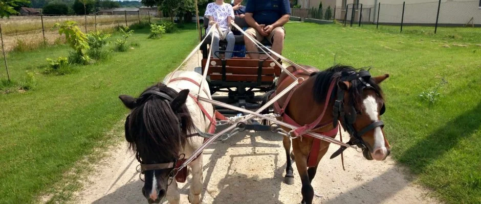 Pni Kuck Vendghz s Minifarm Hosszvlgy