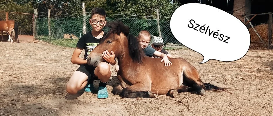 Pni Kuck Vendghz s Minifarm Hosszvlgy